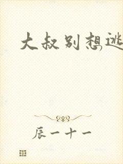 大叔别想逃