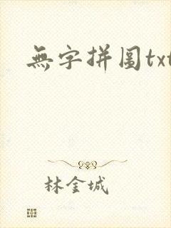 无字拼图txt