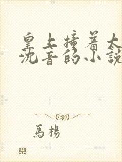 皇上撞着太子妃沈音的小说叫什么