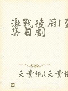 激战后厨1至5集日剧