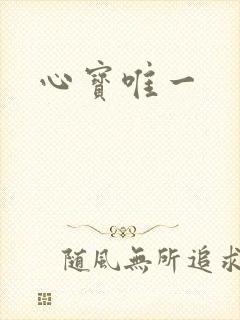 心宝唯一