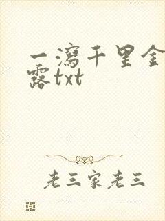 一泻千里金银花露txt