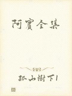 阿宾全集
