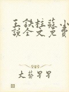 王铁柱苏小汐小说全文免费阅读最新章节