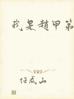 我是赵甲第小说