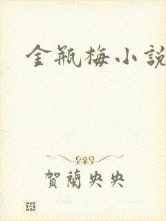 金瓶梅小说下载