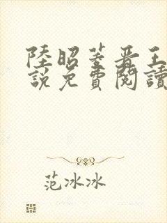 陆昭菱晋王的小说免费阅读