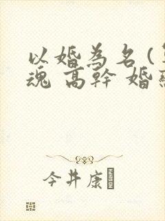 以婚为名 (军魂 高干 婚恋)