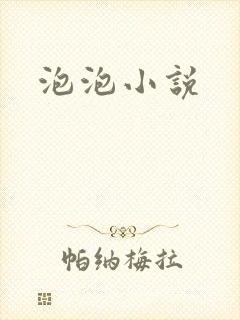 泡泡小说