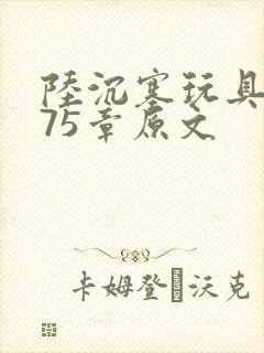 陆沉塞玩具高速75章原文