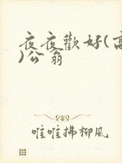 夜夜欢好(高h)公翁