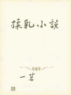揉乳小说