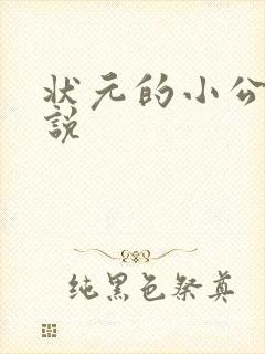 状元的小公主小说