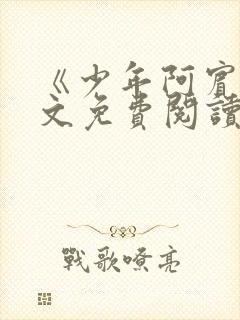 《少年阿宾》全文免费阅读