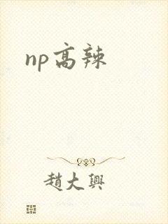 np高辣