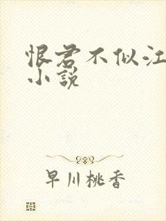 恨君不似江楼月小说