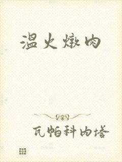 温火炖肉