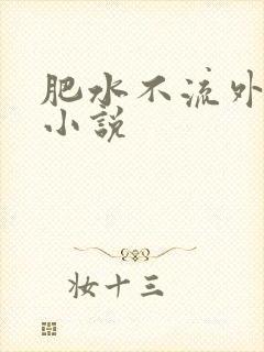 肥水不流外人田小说