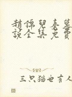 赵锦儿秦慕修小说全集免费