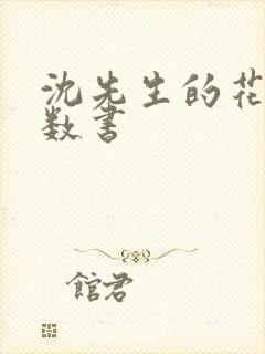 沈先生的花式调数书