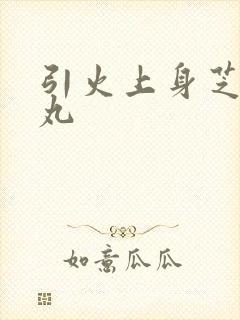 引火上身芝麻糖丸