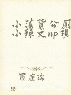 小荡货公厕h文小辣文np视频