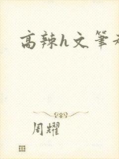 高辣h文笔趣阁