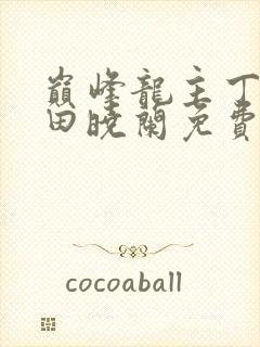 巅峰龙主丁长顺田晓兰免费阅读