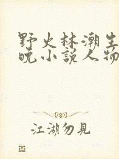 野火林潮生林晚晚小说人物野火