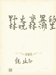 野火变异的父爱林晚林潮生