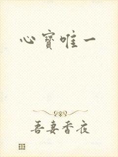 心宝唯一