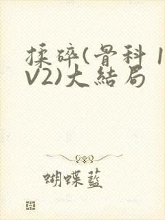 揉碎(骨科 1V2)大结局