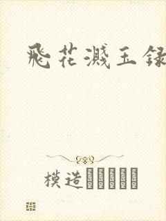 飞花溅玉录