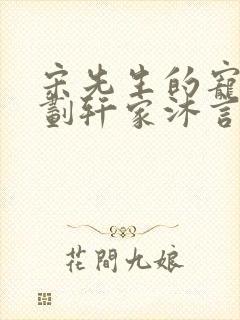 宋先生的宠妻计划轩家沐言