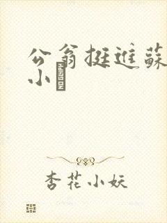 公翁挺进苏玥的小泬