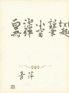 白洁小说txt无弹窗笔趣阁