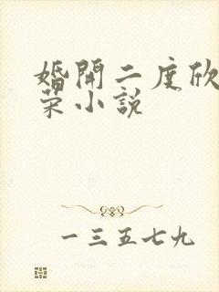 婚开二度欣欣向荣小说