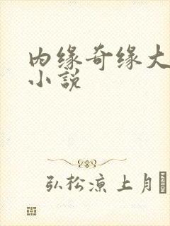 内缘奇缘大团圆小说