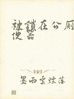 被锁在公厕当坐便器