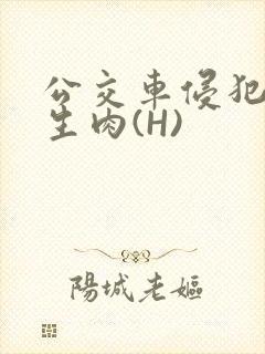 公交车侵犯小男生肉(H)