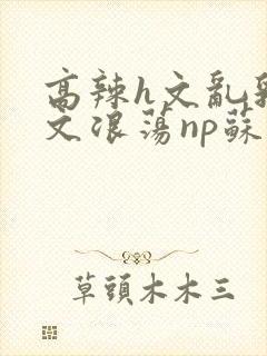 高辣h文乱乳h文浪荡np苏夏