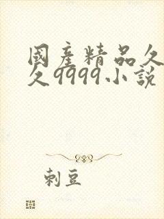 国产精品久久久久9999小说