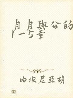月月与公的激情1一5章