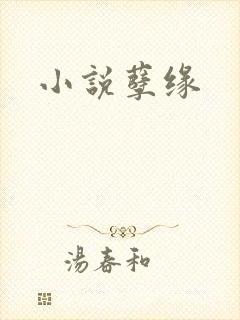 小说孽缘