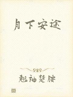 月下安途