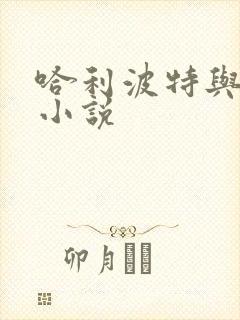 哈利波特与密室小说