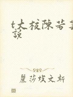 t大校陈若芸小说