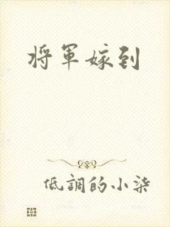 将军嫁到