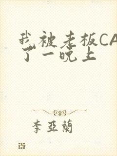 我被老板CAO了一晚上