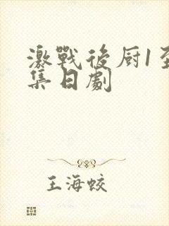 激战后厨1至5集日剧